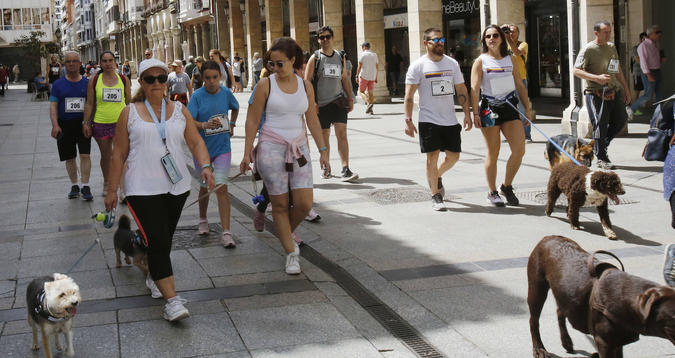 Fotos: La Feria Chica se hace grande en Palencia