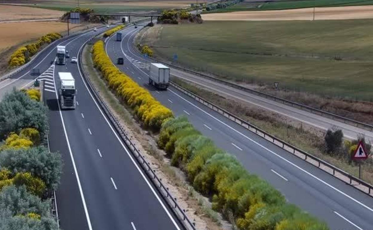 La A-62, a su paso por Alaejos, en una imagen de las cámaras de la DGT. 