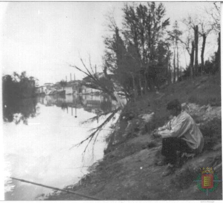 Fotos: El río Pisuerga, testigo de siglos de historia