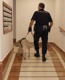 Imagen secundaria 2 - Once detenidos y desarticulado un centro de distribución y varios puntos de venta de droga en Salamanca y provincia