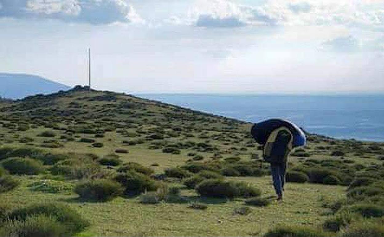 Monte del Parque Nacional Sierra de Guadarrama en el municipio segoviano de Sigueruelo. 