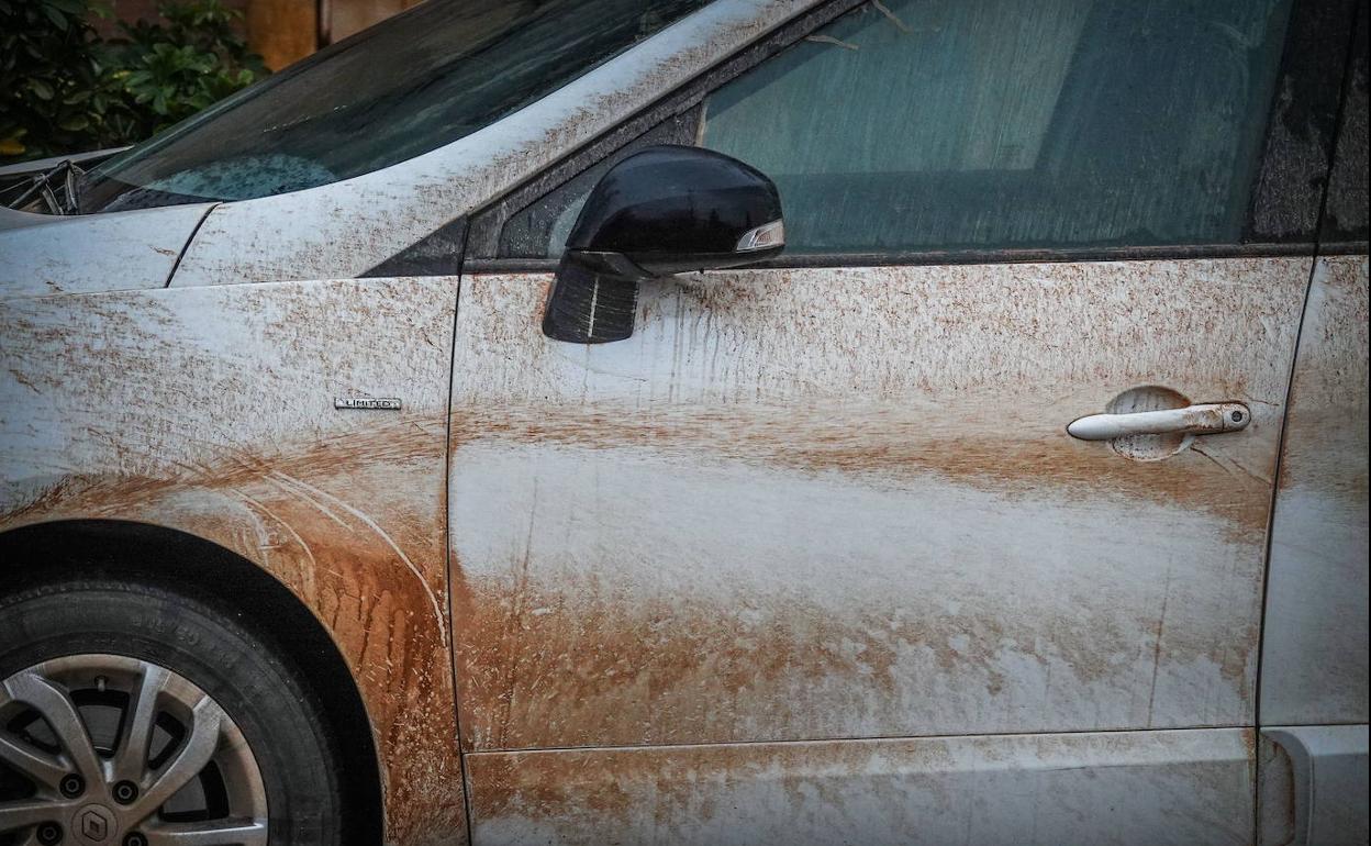 Indemnizada una mujer que contrajo una ETS al practicar sexo en un coche  asegurado | El Norte de Castilla