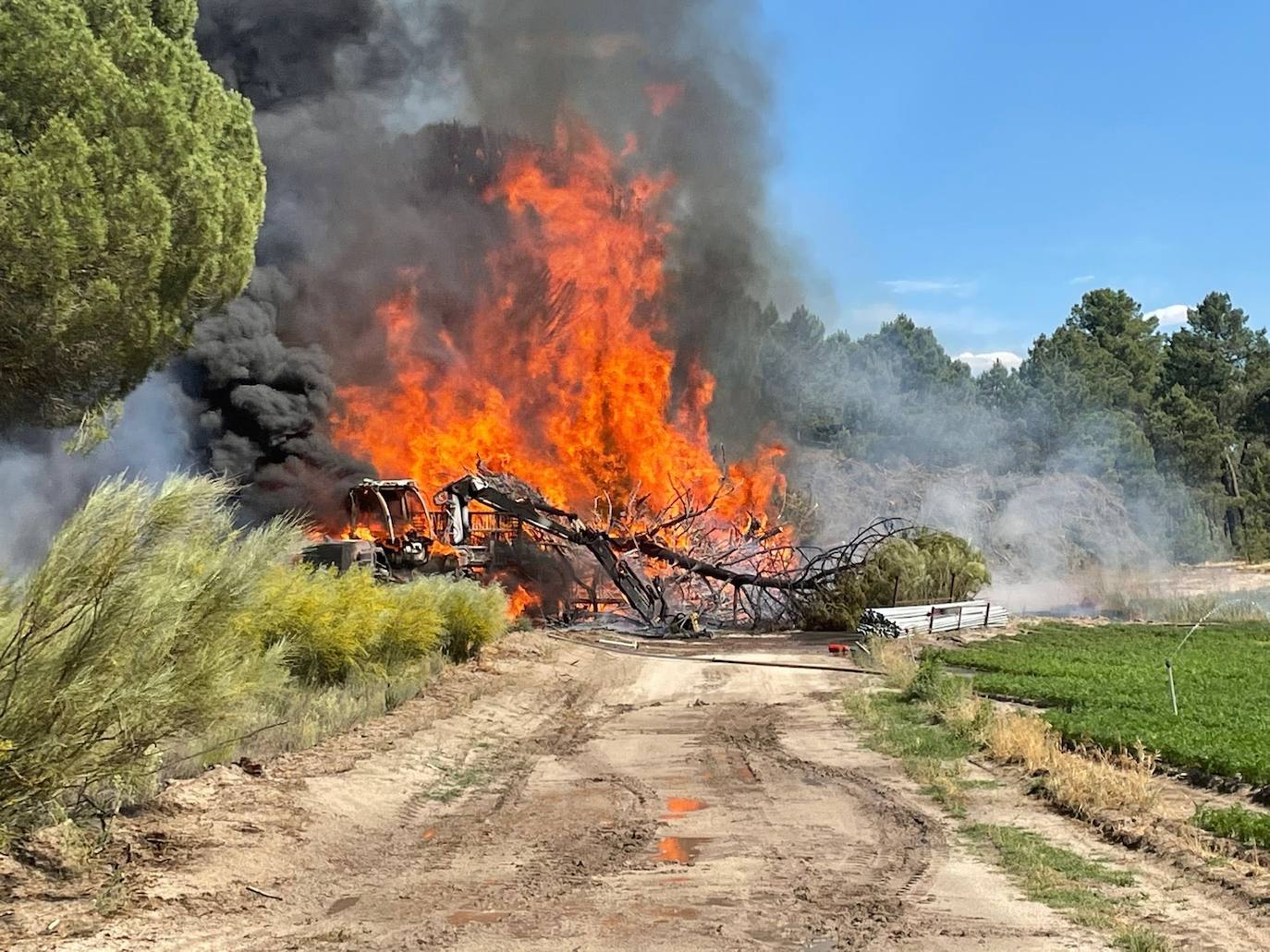 Incendio forestal declarado esta tarde en Samboal. 