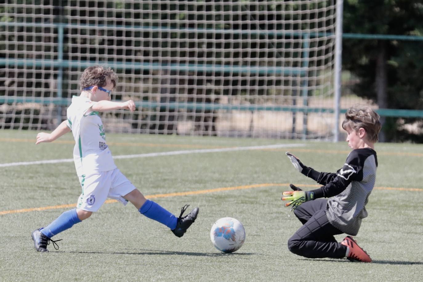 Fotos: El fútbol benjamín de Valladolid se enfrenta en la VIII Betis Cup 2022