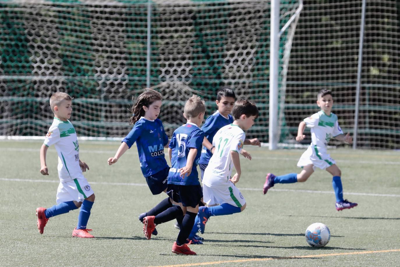 Fotos: El fútbol benjamín de Valladolid se enfrenta en la VIII Betis Cup 2022