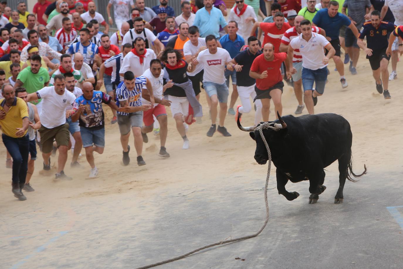Fotos: El Toro Enmaromado de 2022 completa en 71 minutos su carrera por las calles de Benavente