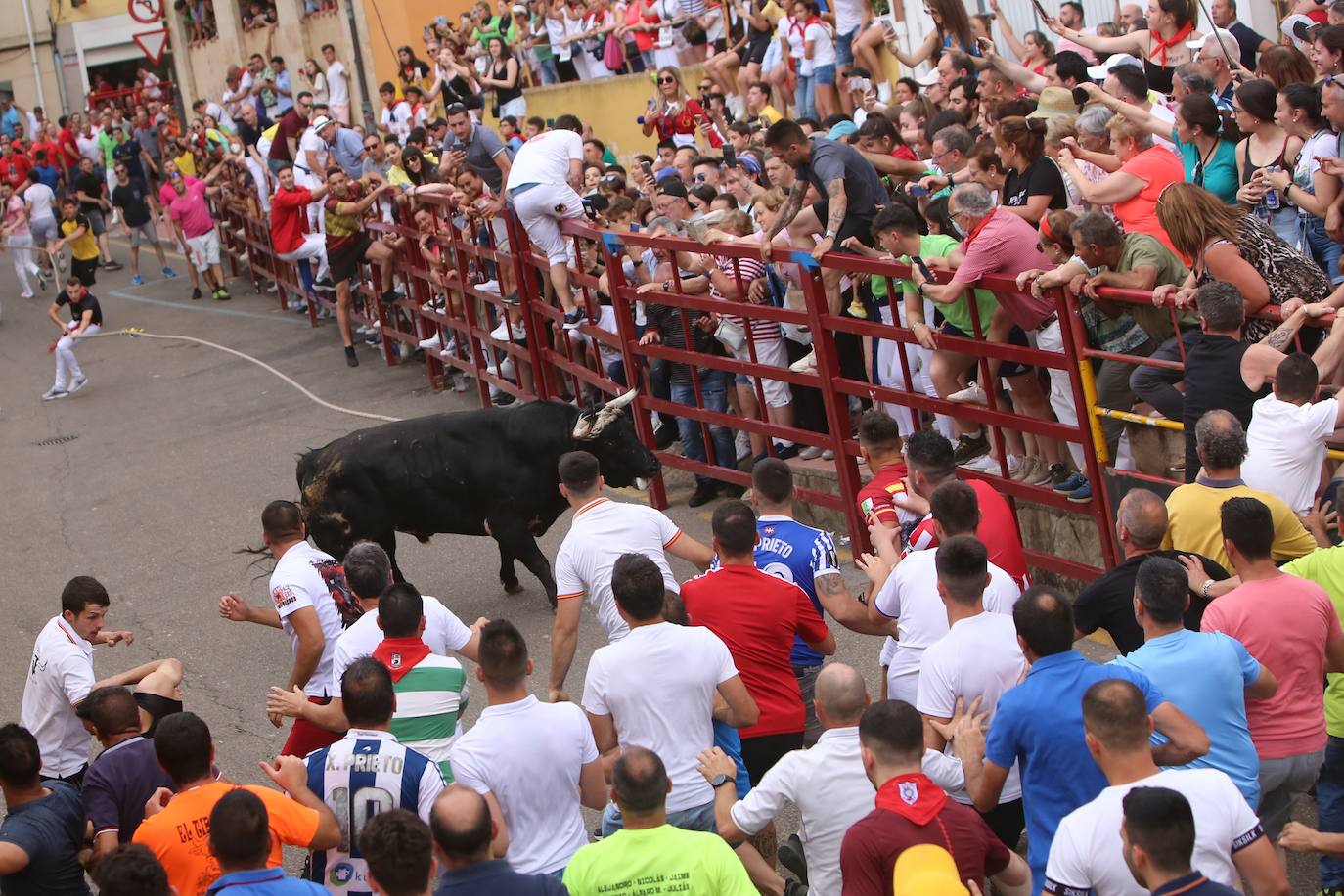 Fotos: El Toro Enmaromado de 2022 completa en 71 minutos su carrera por las calles de Benavente