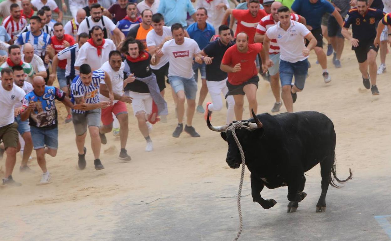 'Siguiñuelo', ayer, por la calles de Benavente.