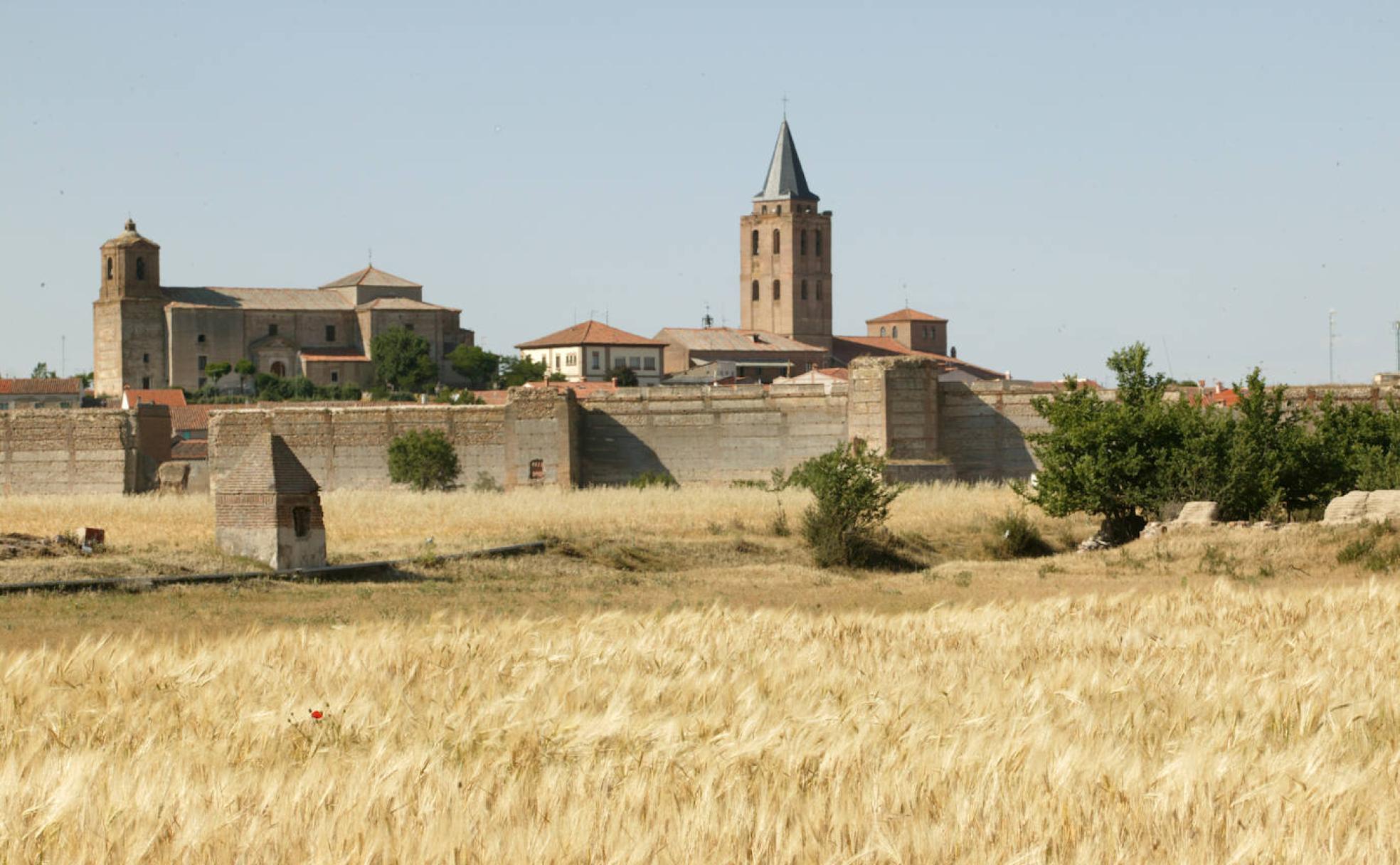 Panorámica de Madrigal, localidad en la que nació la reina Isabel la Católica.