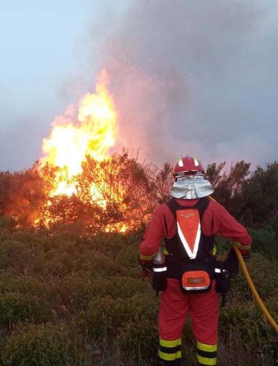 Incendio en la Sierra de la Culebra