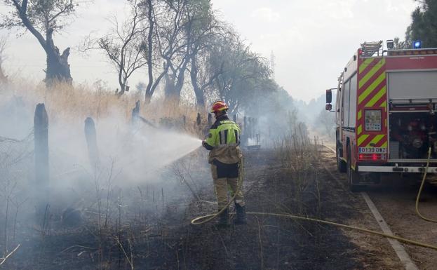 Sofocan un aparatoso incendio que rozó las casas de la carretera de las Arcas Reales 