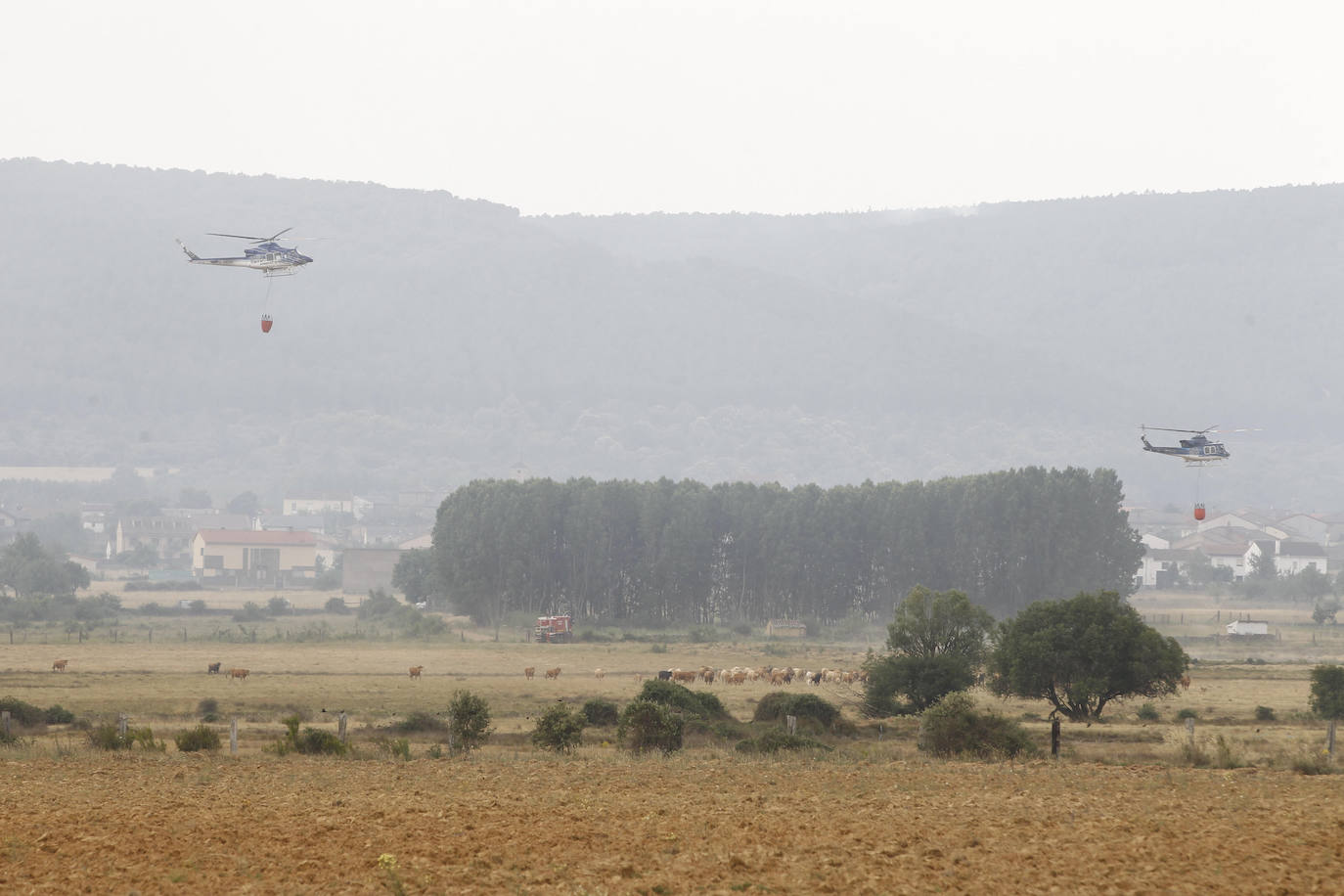 Más de 25.000 hectáreas quemadas y vecinos de diecisiete pueblos fuera de sus casas