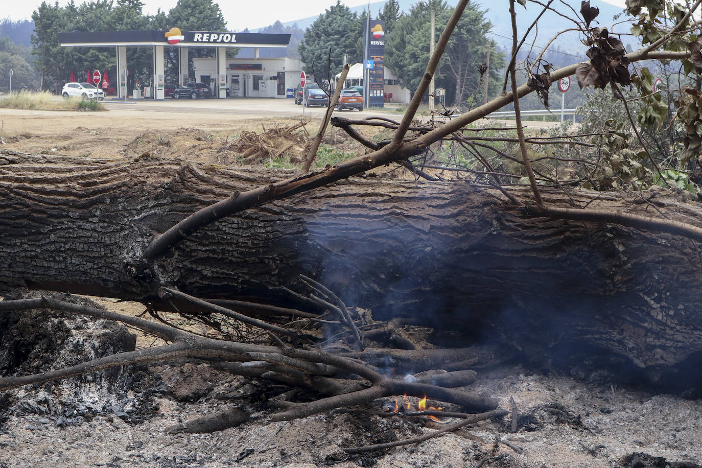 Fotos: Domingo de evaluación de daños en el incendio de la Sierra de la Culebra (Zamora)