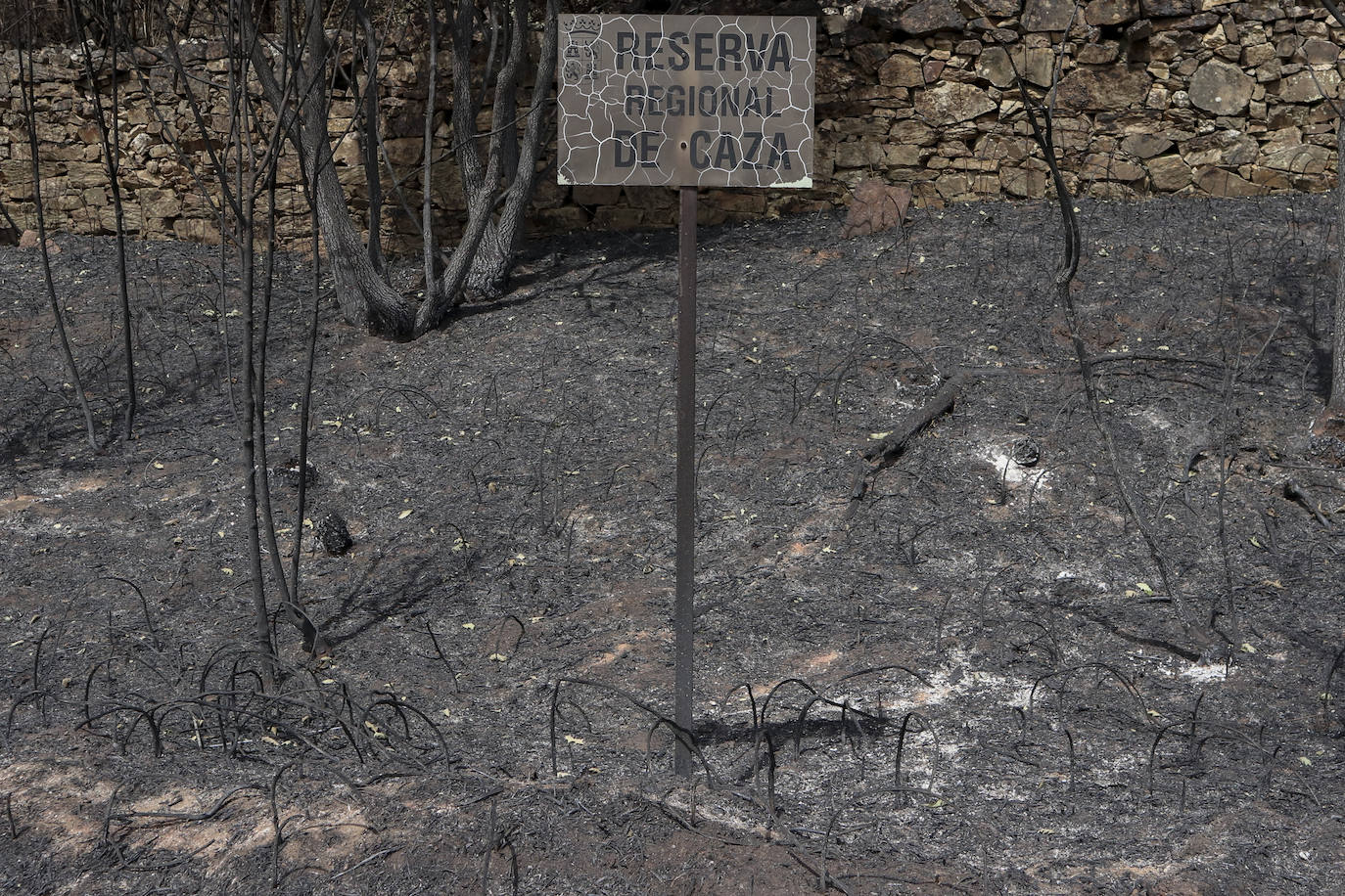 Fotos: Domingo de evaluación de daños en el incendio de la Sierra de la Culebra (Zamora)