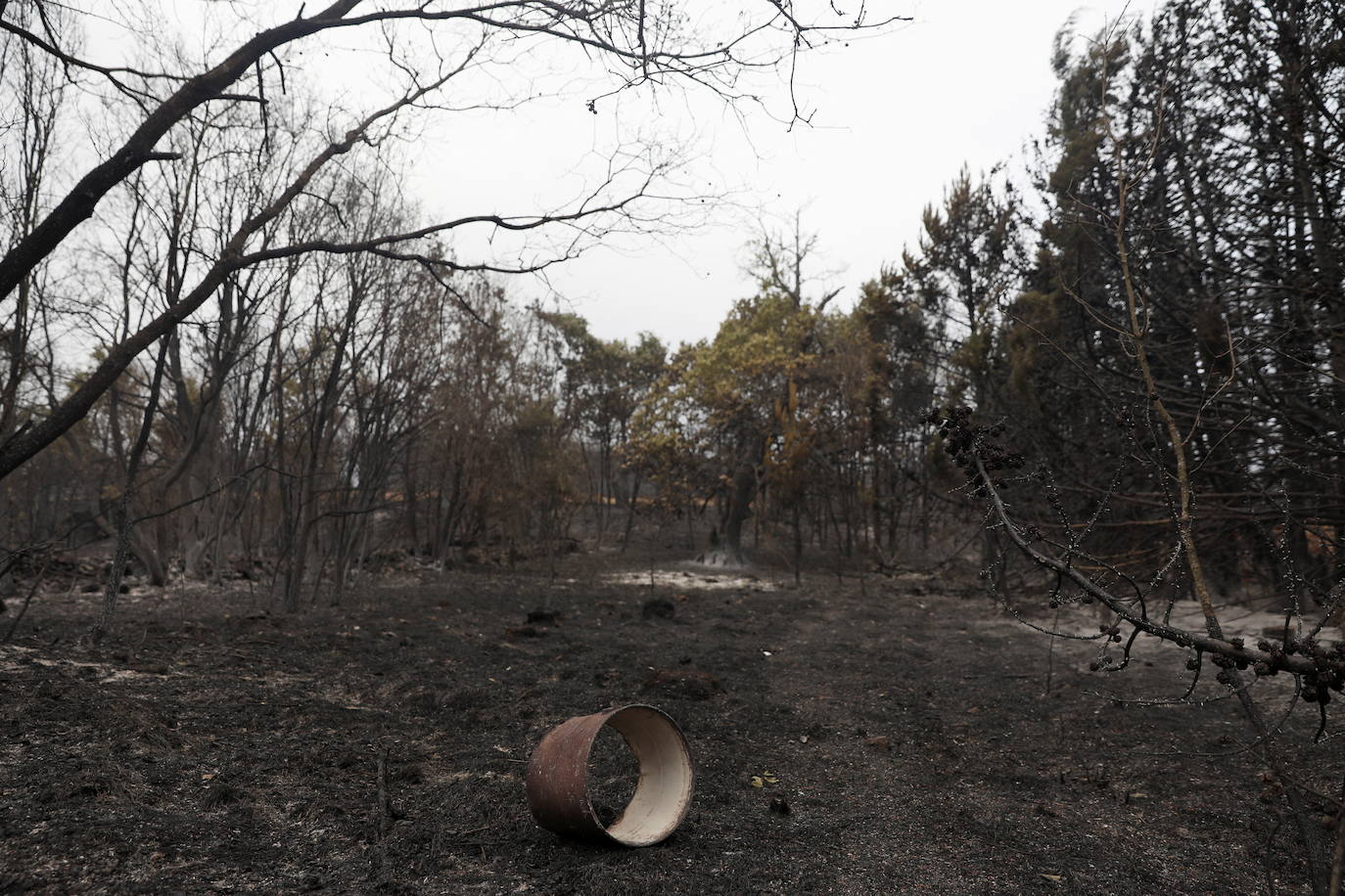 Fotos: Domingo de evaluación de daños en el incendio de la Sierra de la Culebra (Zamora)