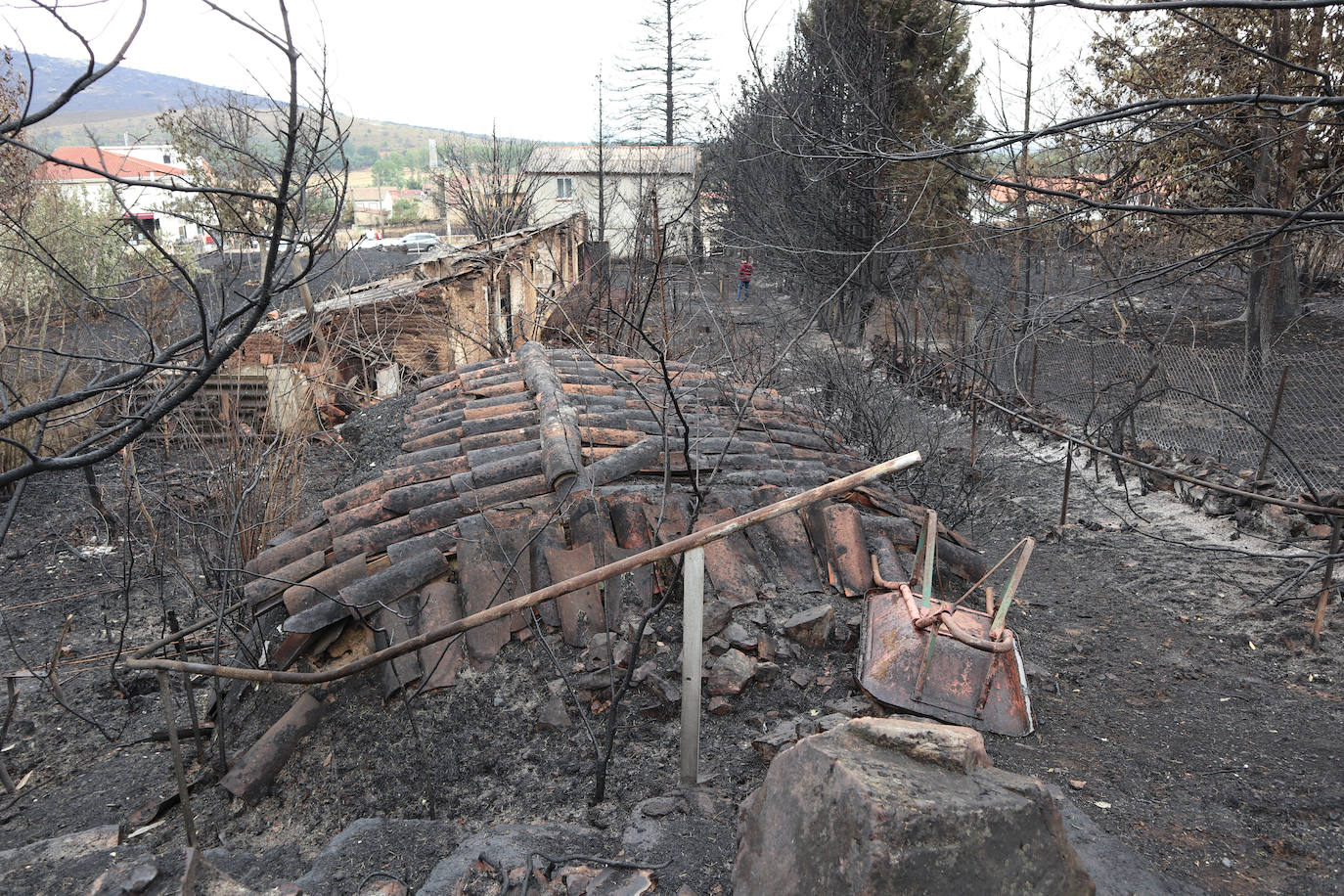 La Sierra de la Culebra, reducida a cenizas tras el paso del incendio forestal.