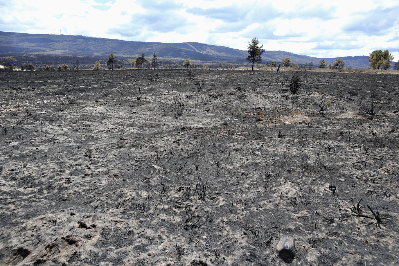 La Sierra de la Culebra, reducida a cenizas tras el paso del incendio forestal.