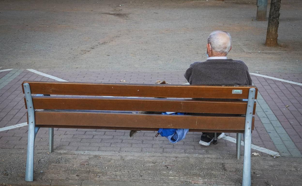 Un anciano solo en un banco. 