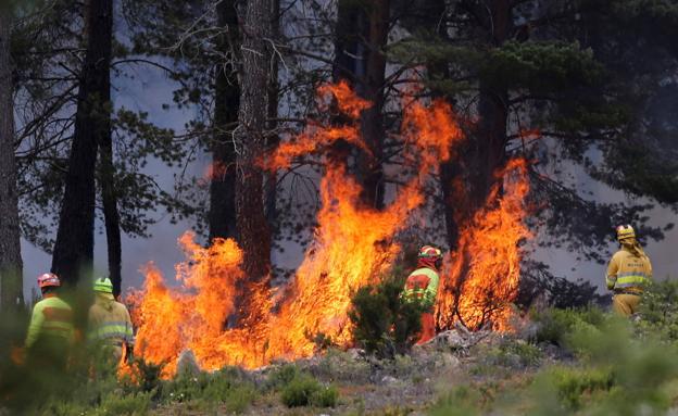 La extinción del fuego costará el triple que toda la campaña de verano de la Junta