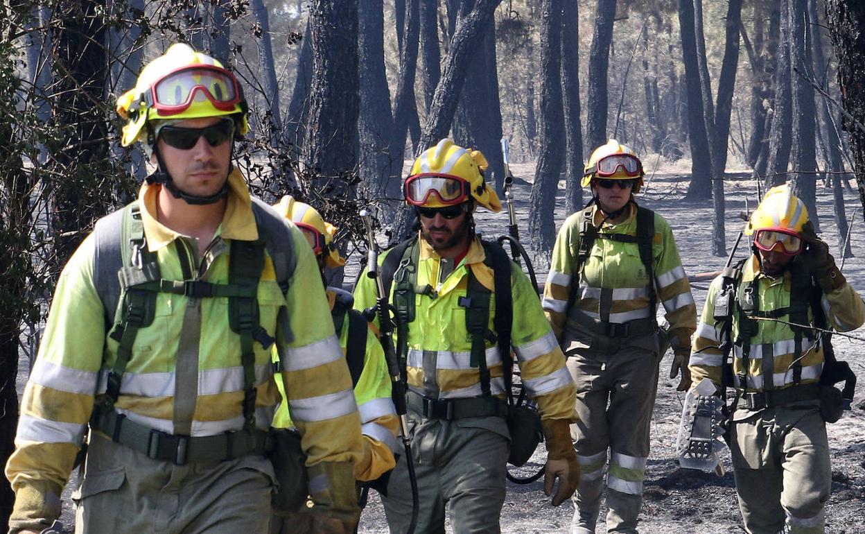 Bomberos forestales de la Junta de Castilla y León, durante un incendio en la provincia.