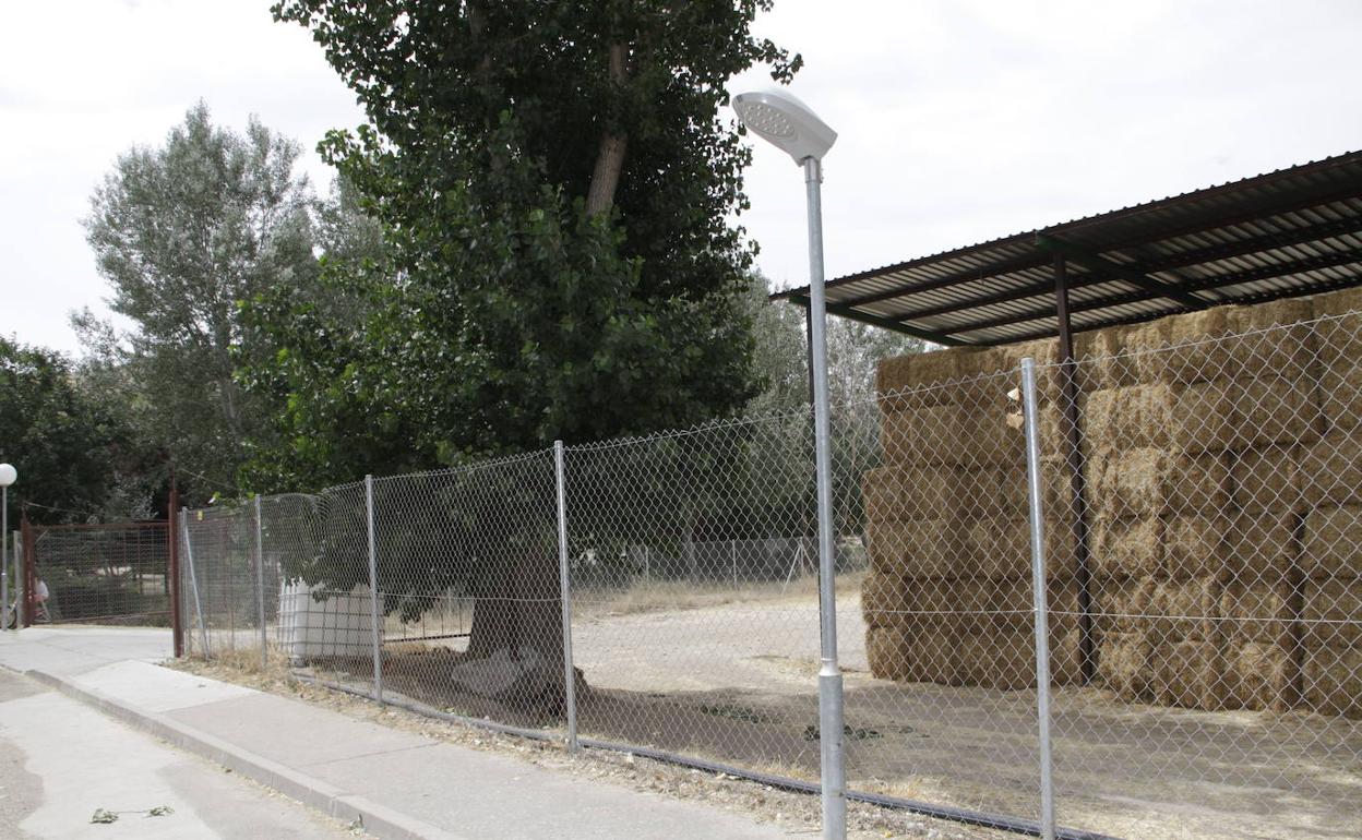 Farola en la que se ha produjo la descarga eléctrica que ha hirió al niño en Castrillo de Duero.