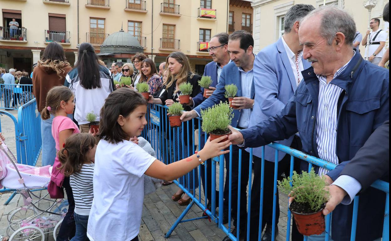 Reparto del tomillo en la Plaza Mayor.