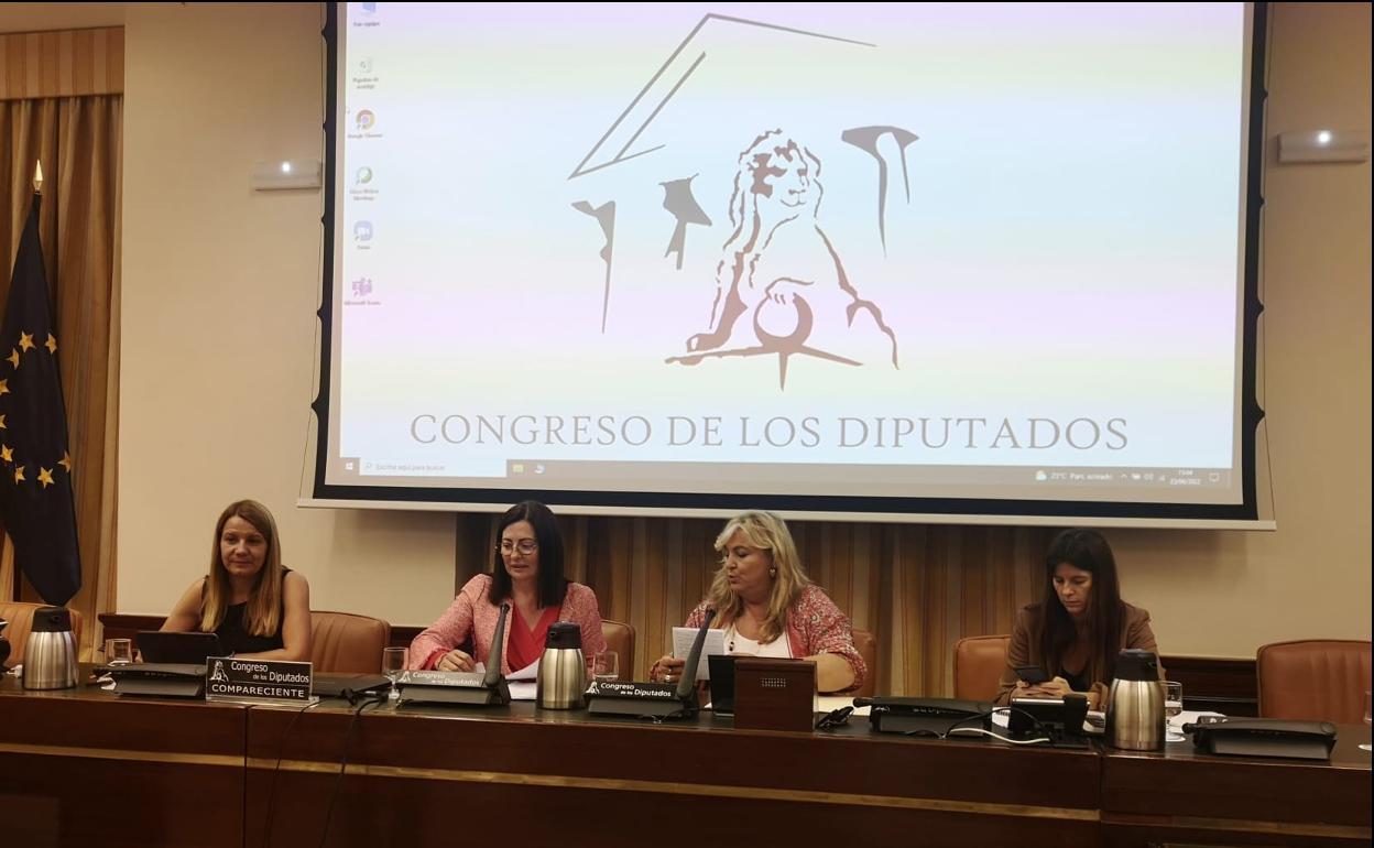 La presidenta de la AEAFA, María Dolores Lozano, segunda por la derecha, en el Congreso. 