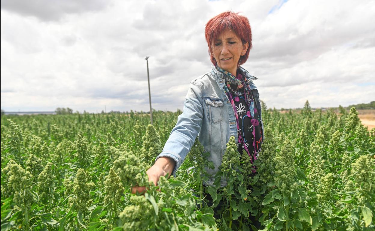 Nieves Aparicio, en un campo de quinoa en Valladolid.