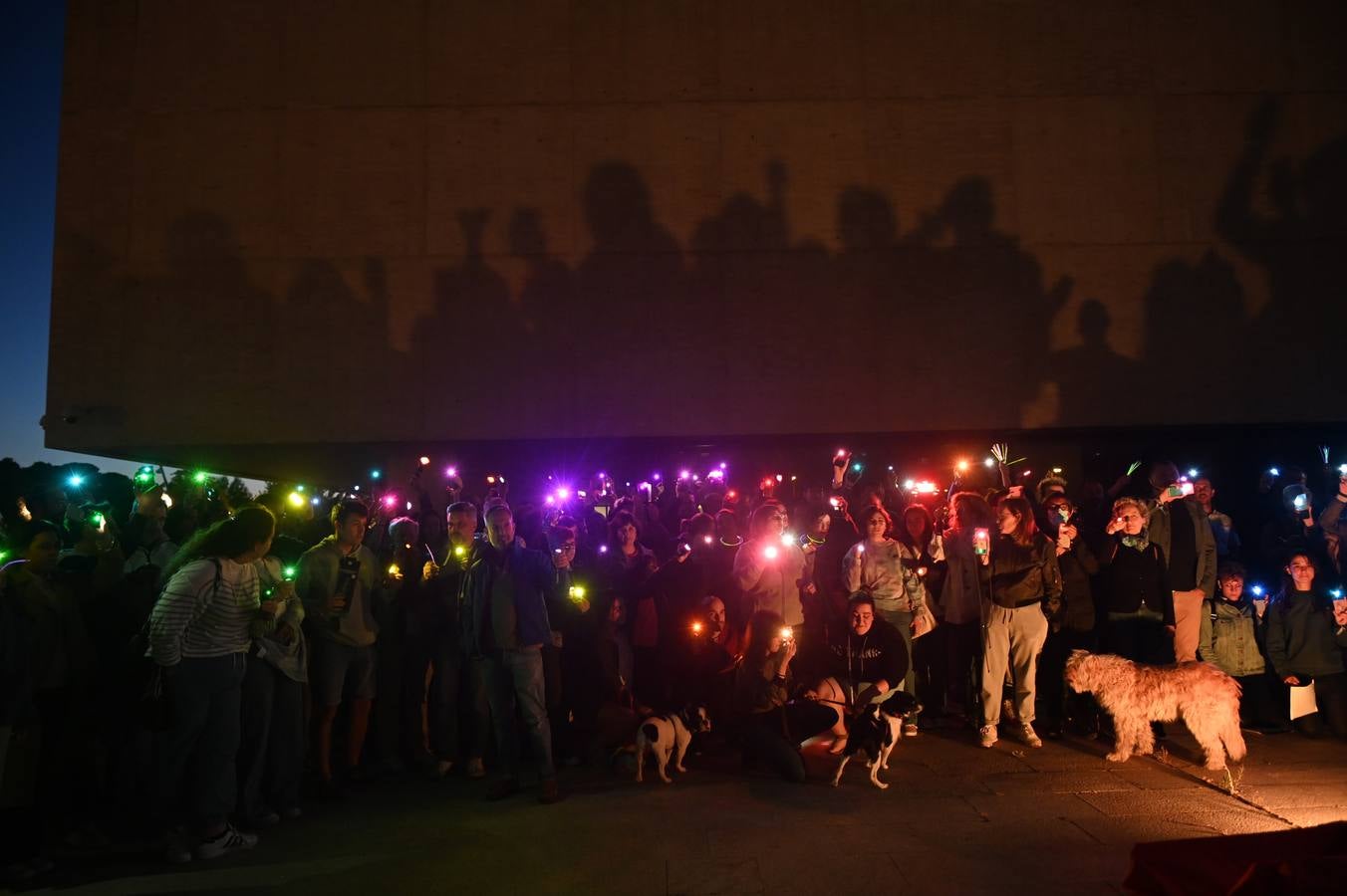Fotos: Protesta en las Cortes ante la negativa de Vox a iluminar el edificio con los tonos de la bandera del Orgullo LGBTI