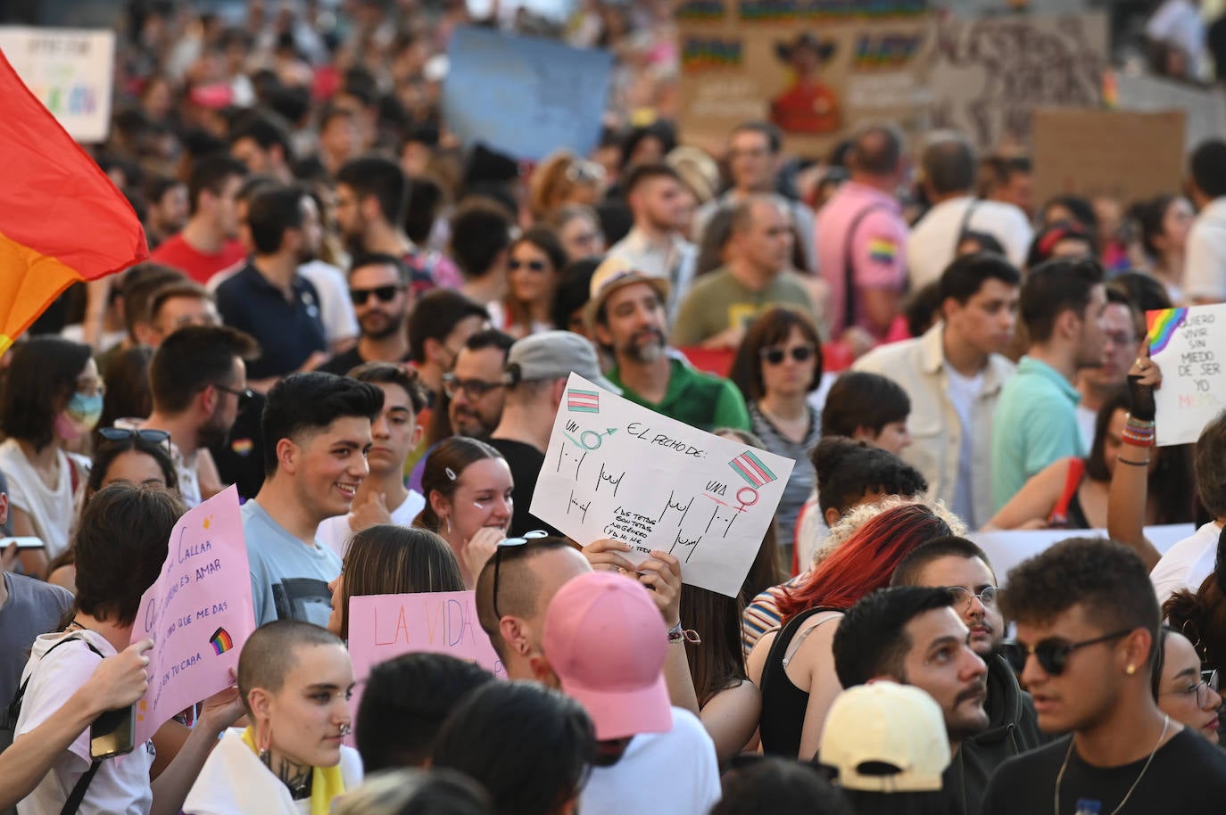 Fotos: Manifestación del Orgullo LGTBI en V