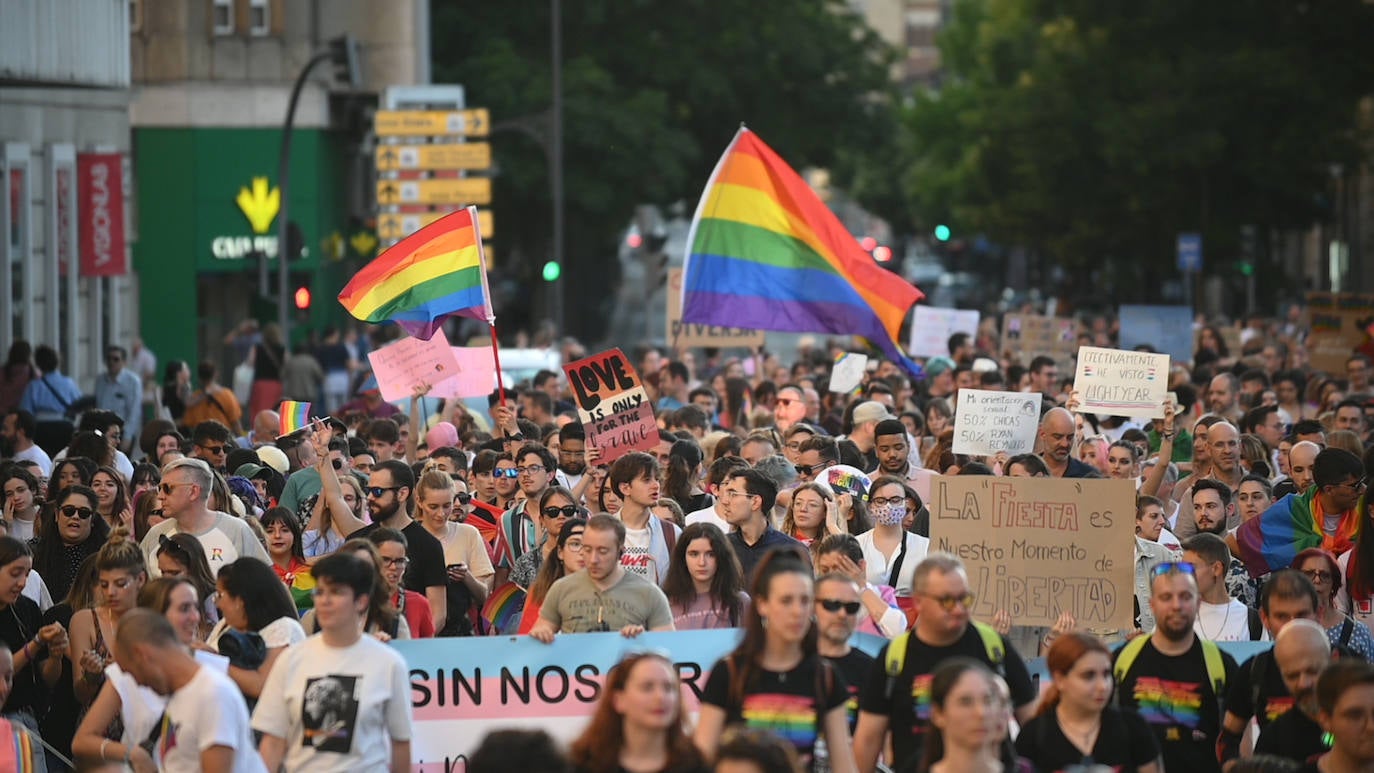 Fotos: Manifestación del Orgullo LGTBI en V