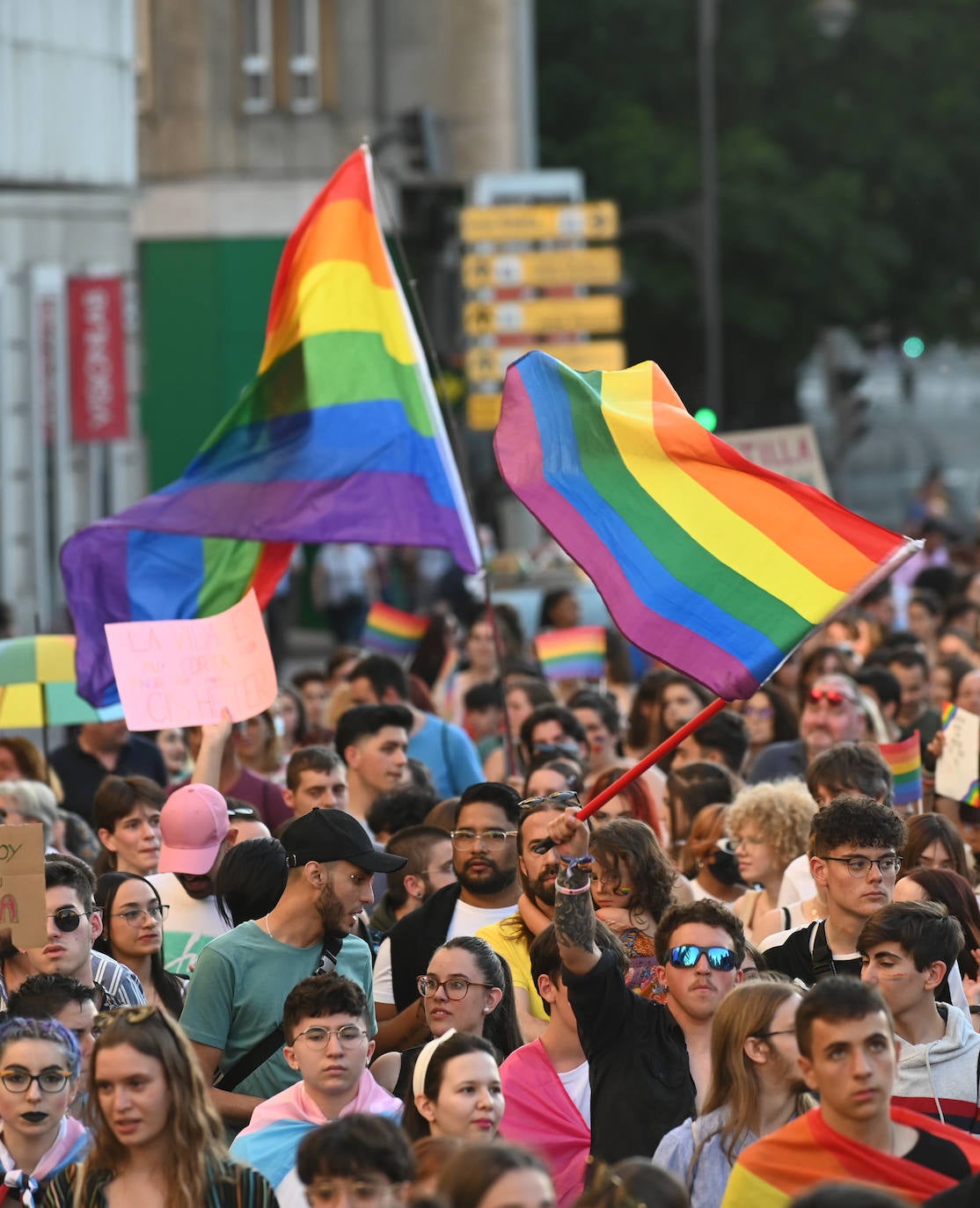Fotos: Manifestación del Orgullo LGTBI en V