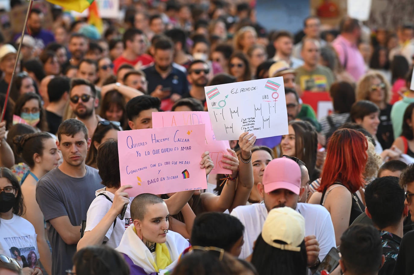 Fotos: Manifestación del Orgullo LGTBI en V