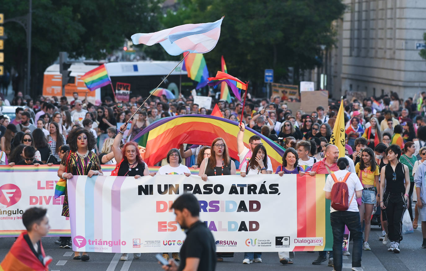Fotos: Manifestación del Orgullo LGTBI en V