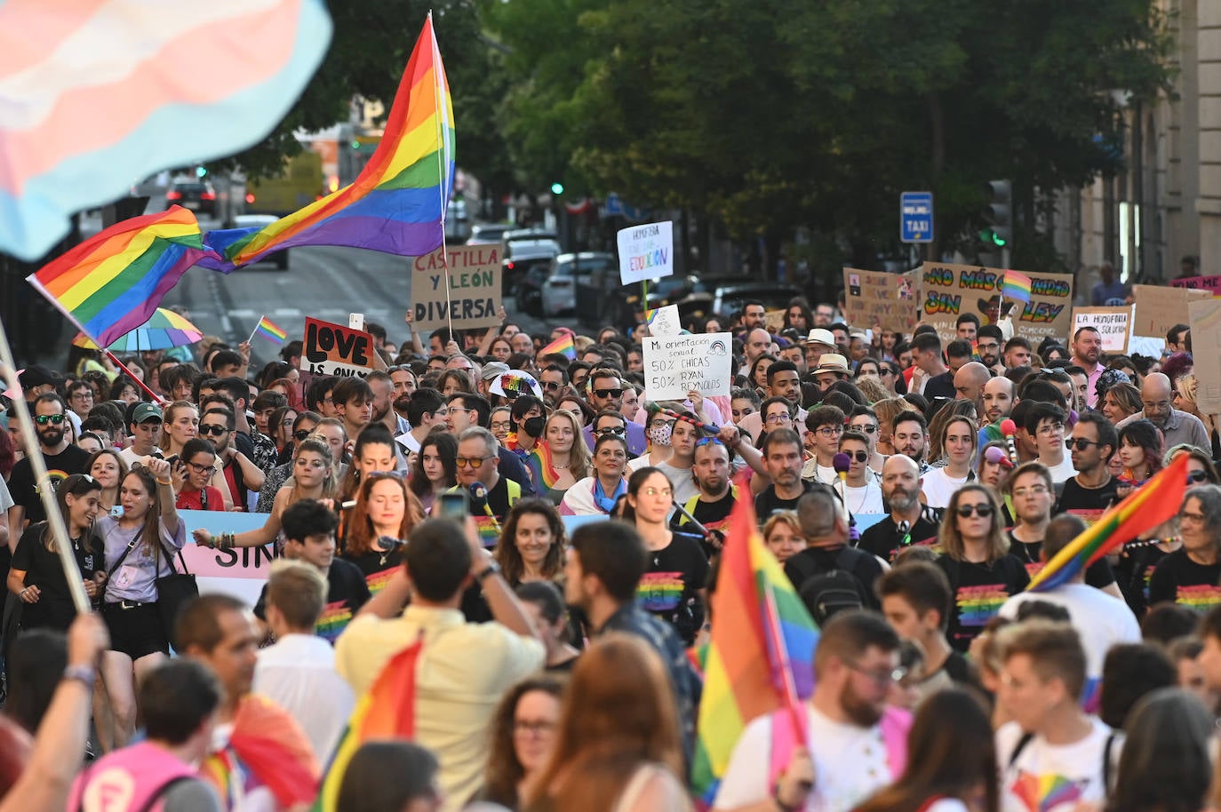 Fotos: Manifestación del Orgullo LGTBI en V