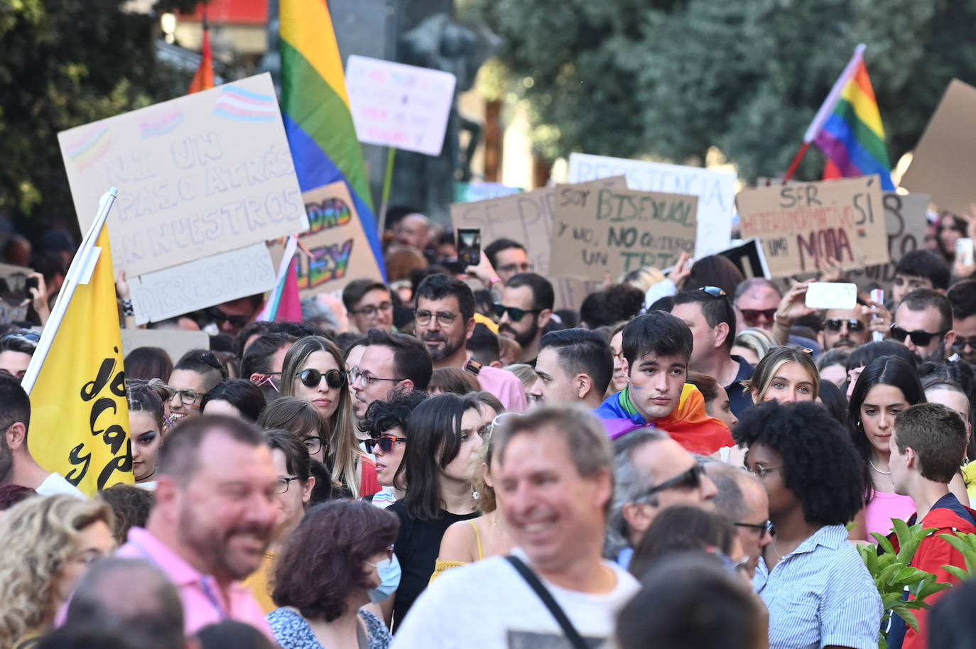 Fotos: Manifestación del Orgullo LGTBI en V