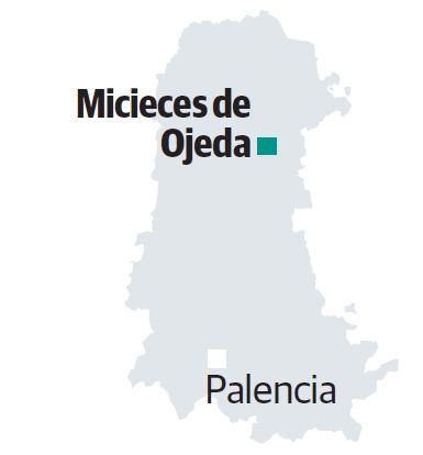 Imagen - 