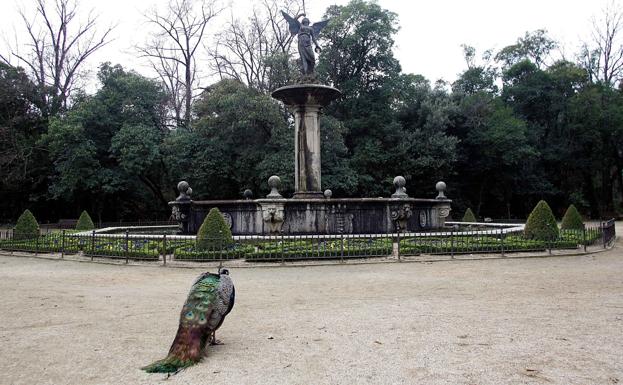 Un pavo real observa la fuente de la Fama, en el Campo Grande de Valladolid.