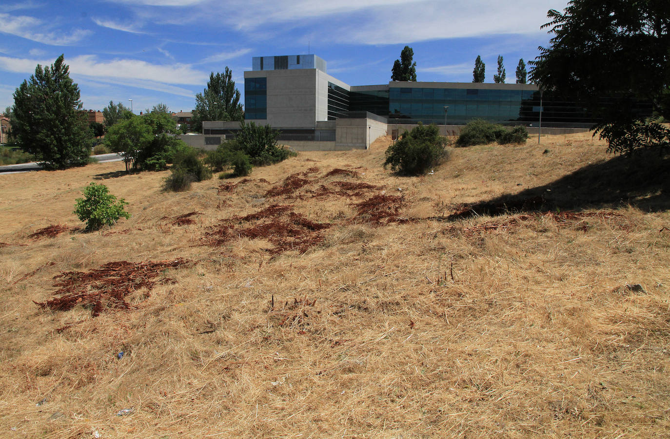 Terreno, con el edificio del INSS al fondo, donde está previsto construir las viviendas.