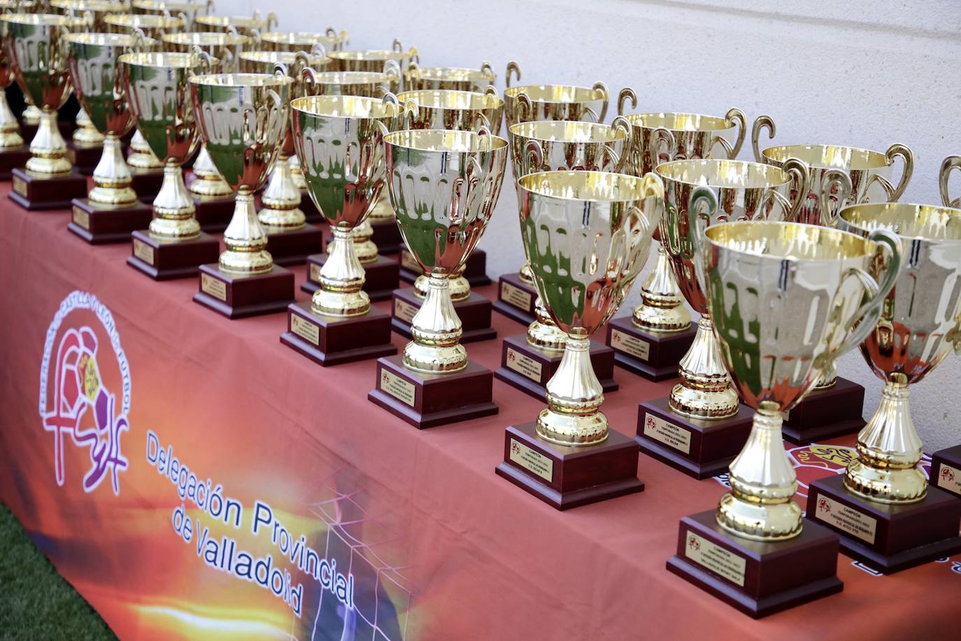 Fotos: Gala de entrega de los premios de la Delegación Provincial de Fútbol (1/5)