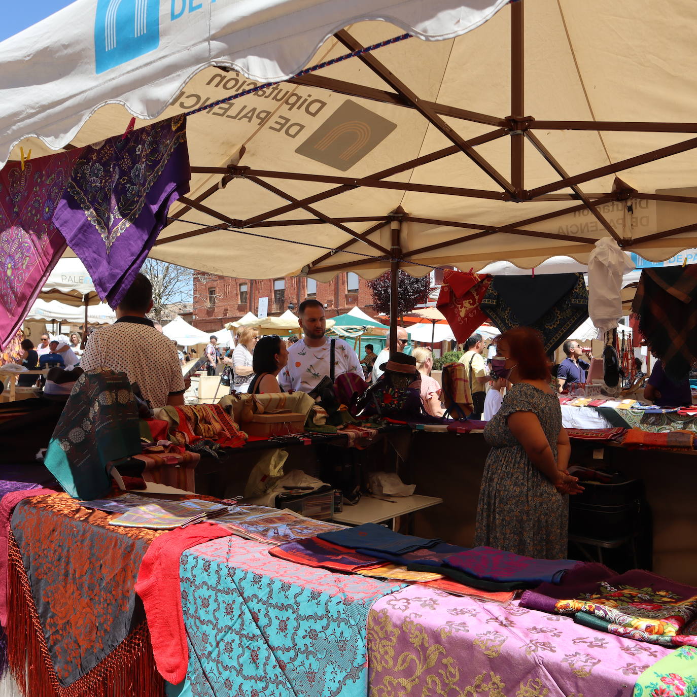 Fotos: Feria de la Tradición en Cisneros