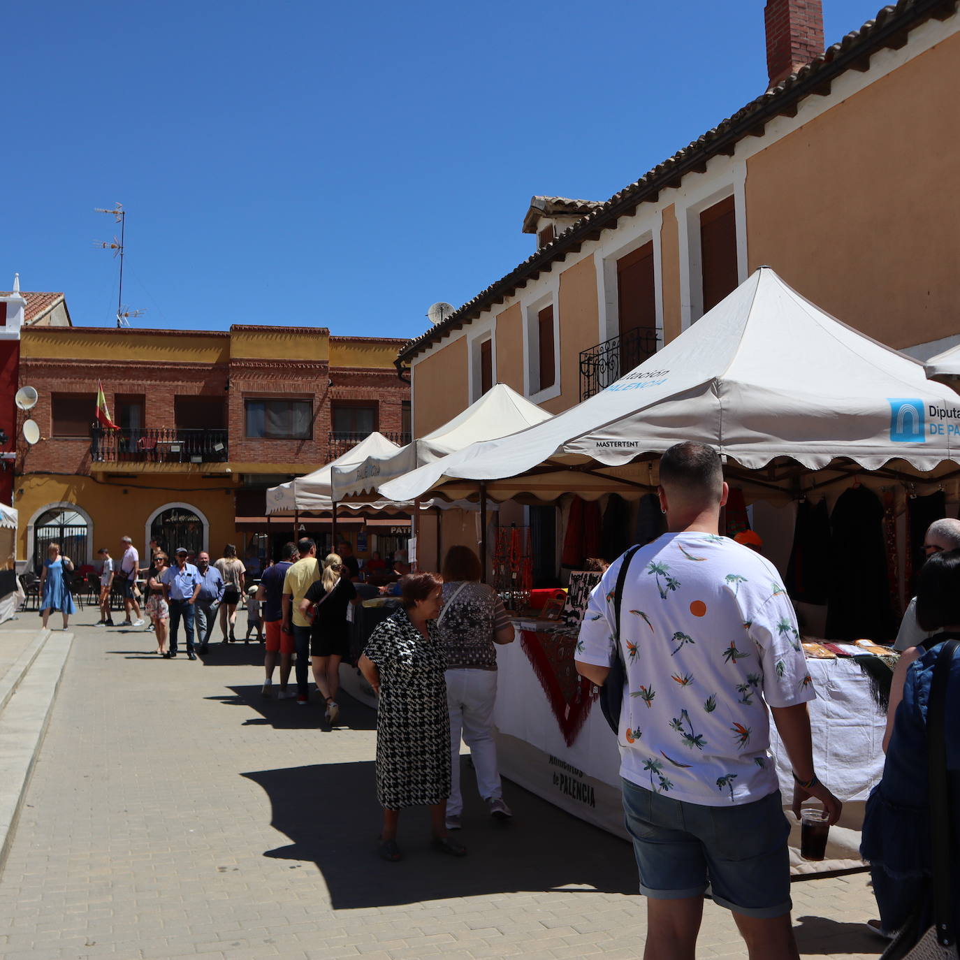Fotos: Feria de la Tradición en Cisneros