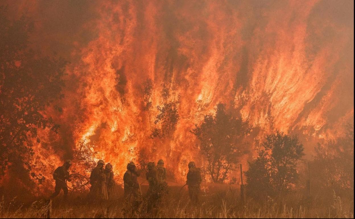 Los bomberos luchan contra el fuego en las inmediaciones de Pumarejo de Tera. 