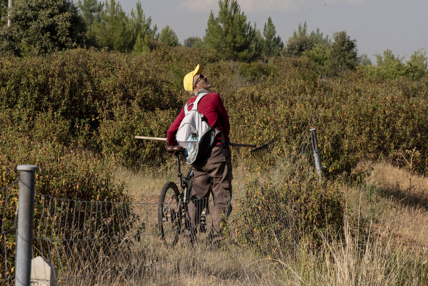 Servicios de extinción trabajan en Honrubia de la Cuesta para controlar el fuego.