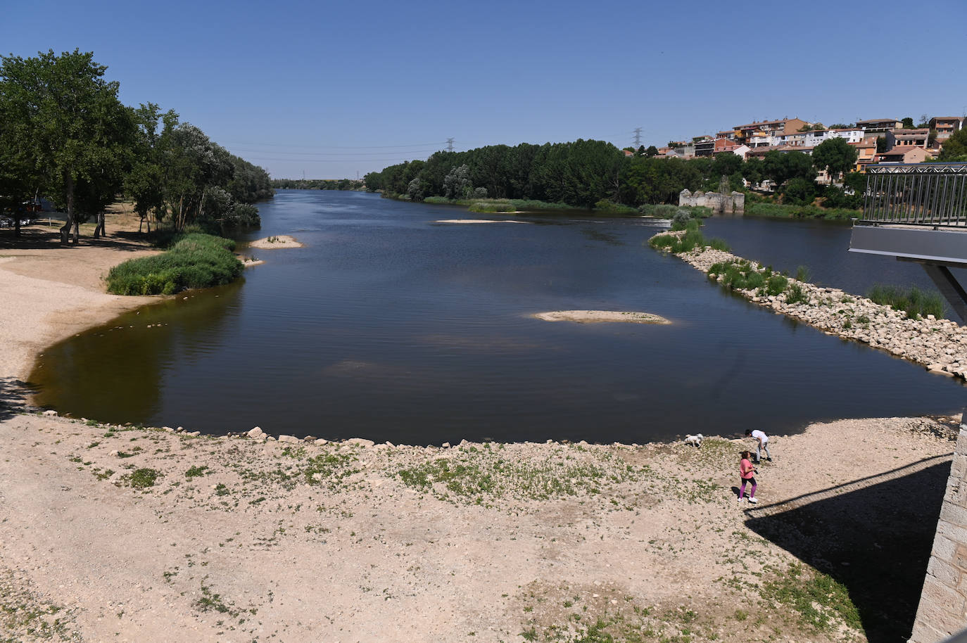 Fotos: Estado del Duero a su paso por Tordesillas