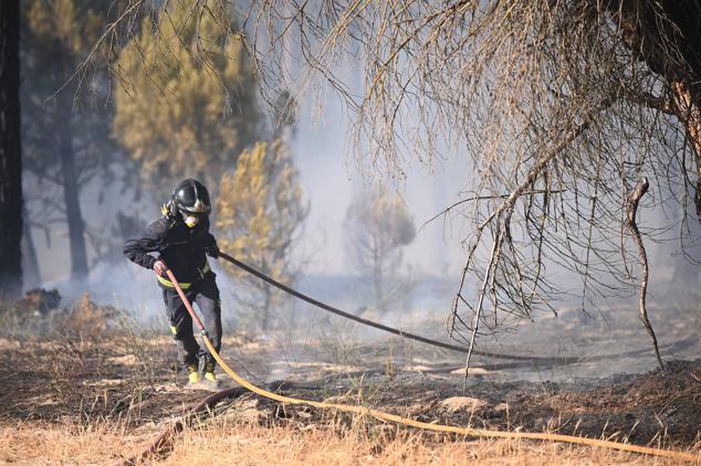 Fotos: Controlado el fuego que amenazó la zona de pinar en Aldeamayor de San Martín