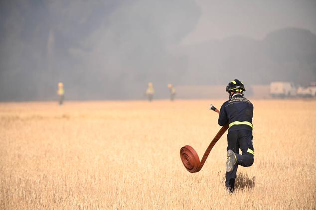 Fotos: Controlado el fuego que amenazó la zona de pinar en Aldeamayor de San Martín