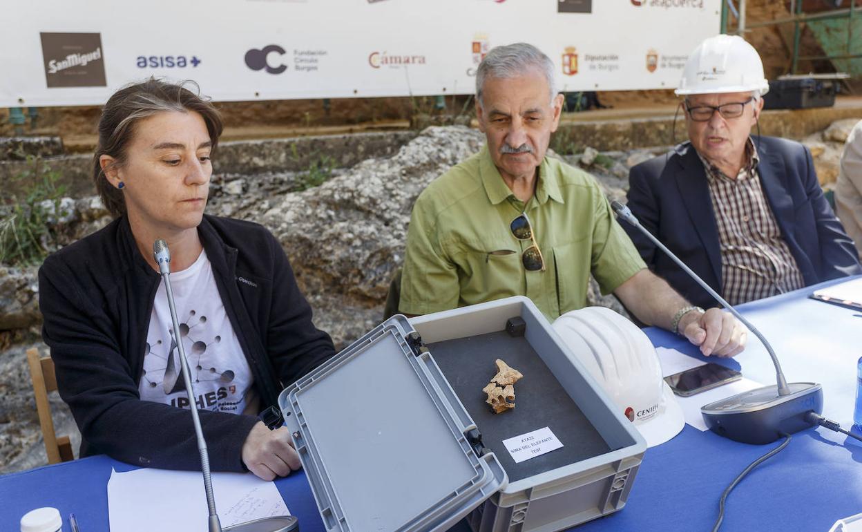 Presentación del hallazgo del pómulo y la mandíbula superior de un humano de hace 1,4 millones de años. 