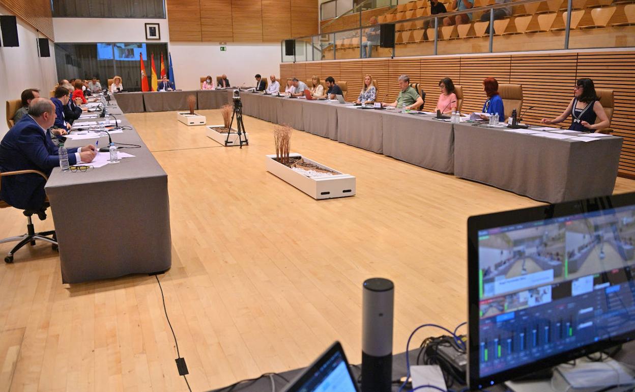 Imagen de un pleno municipal.