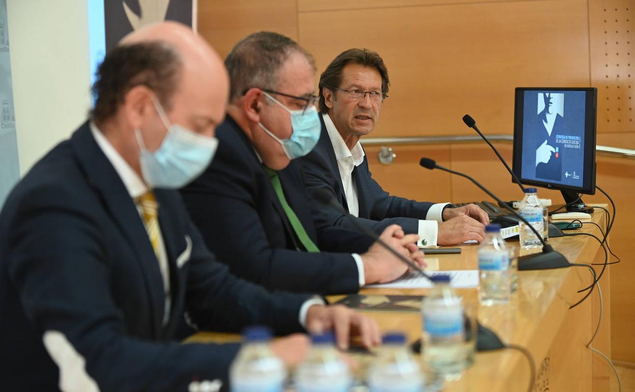 El consejero Alejandro Vázquez, en el centro, junto a Jesús García-Cruces y Ramón Frexes Illueca. 